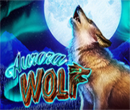 AURORA WOLF